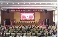 德州市企業(yè)家協(xié)會(huì)第一屆第三次會(huì)員代表會(huì)議順利舉行